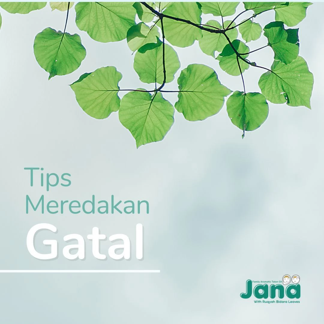 Tips Meredakan Gatal